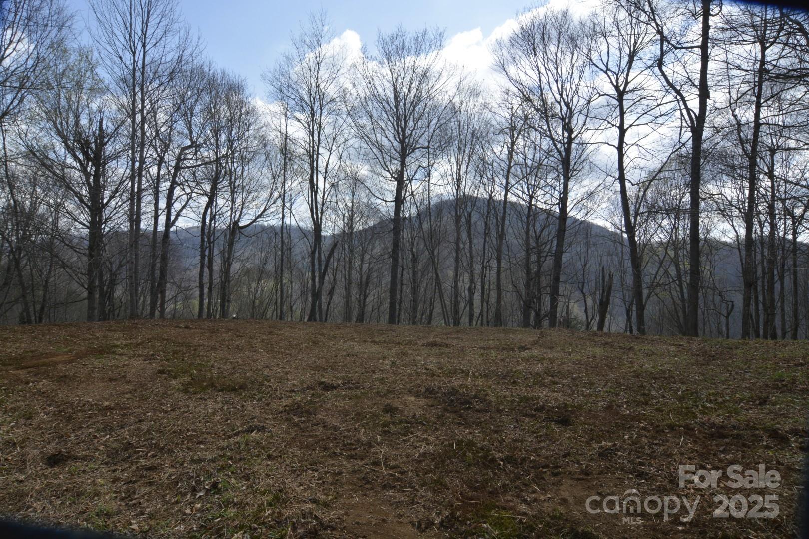 220 Screaming Eagle Drive Property Photo 3