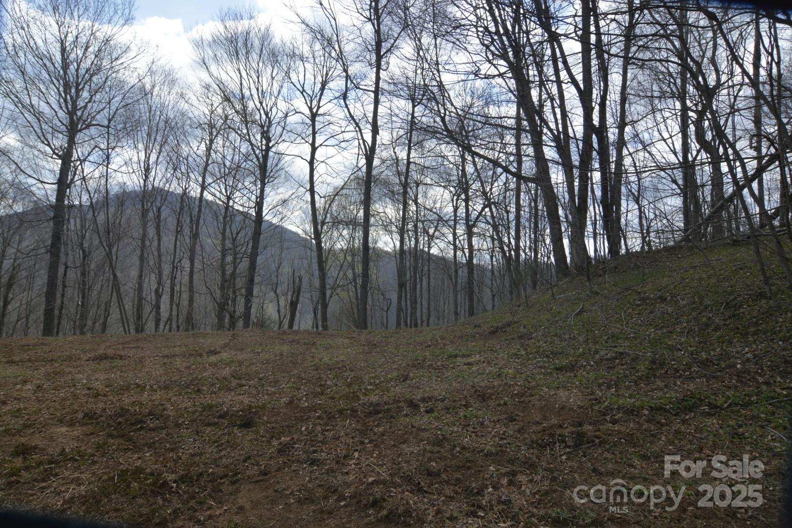 220 Screaming Eagle Drive Property Photo 4