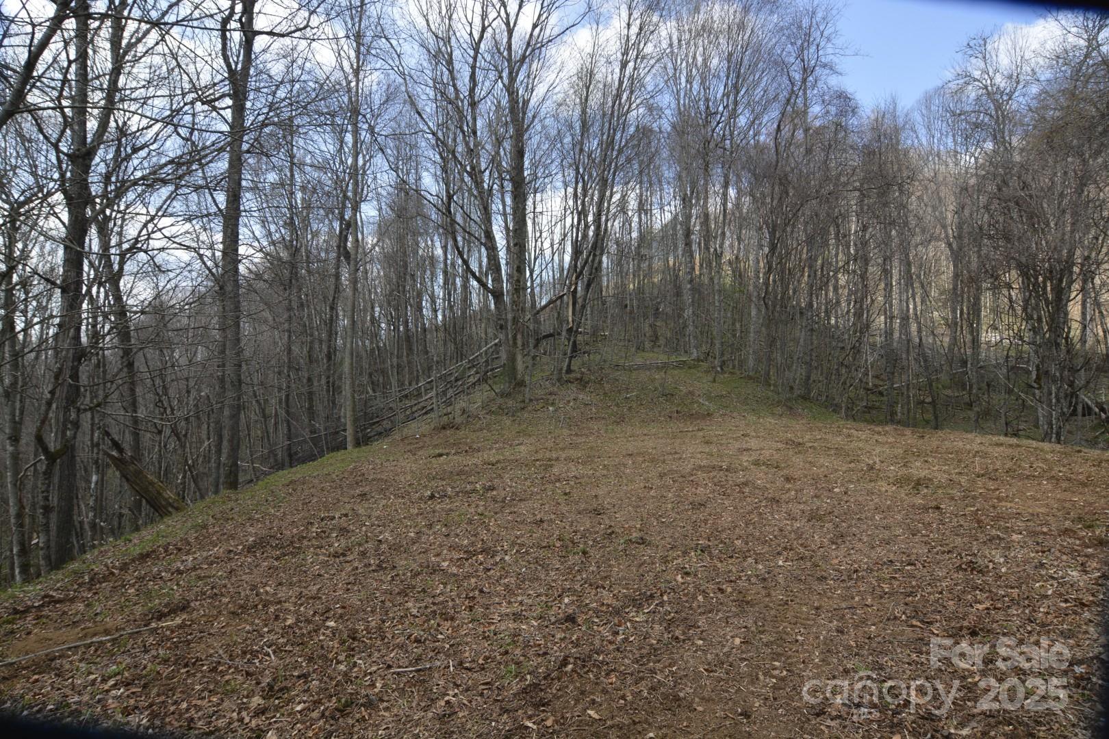 220 Screaming Eagle Drive Property Photo 5