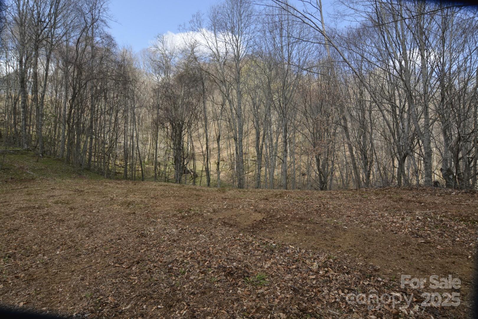 220 Screaming Eagle Drive Property Photo 6