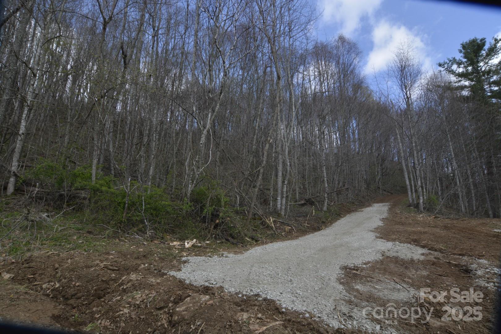 220 Screaming Eagle Drive Property Photo 8