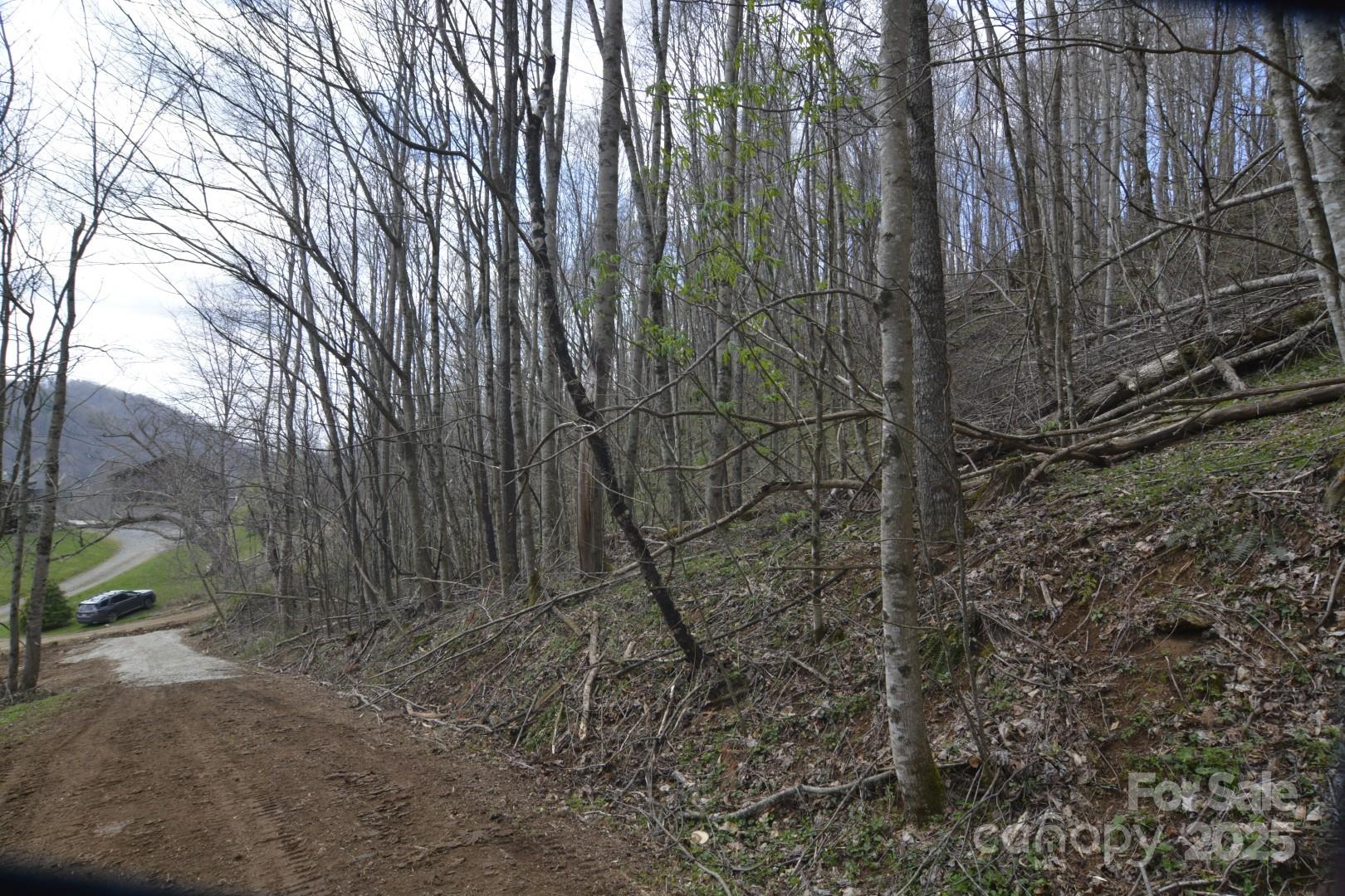 220 Screaming Eagle Drive Property Photo 11