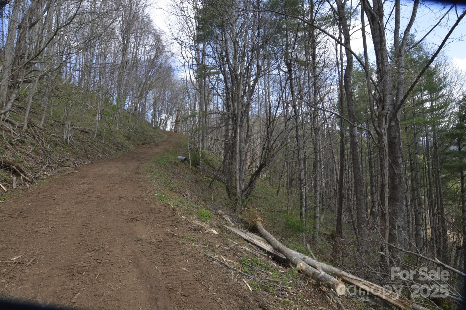 220 Screaming Eagle Drive Property Photo 12