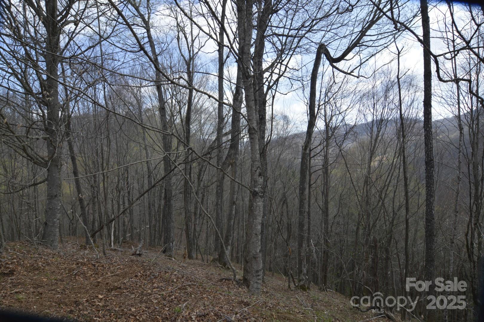 220 Screaming Eagle Drive Property Photo 13