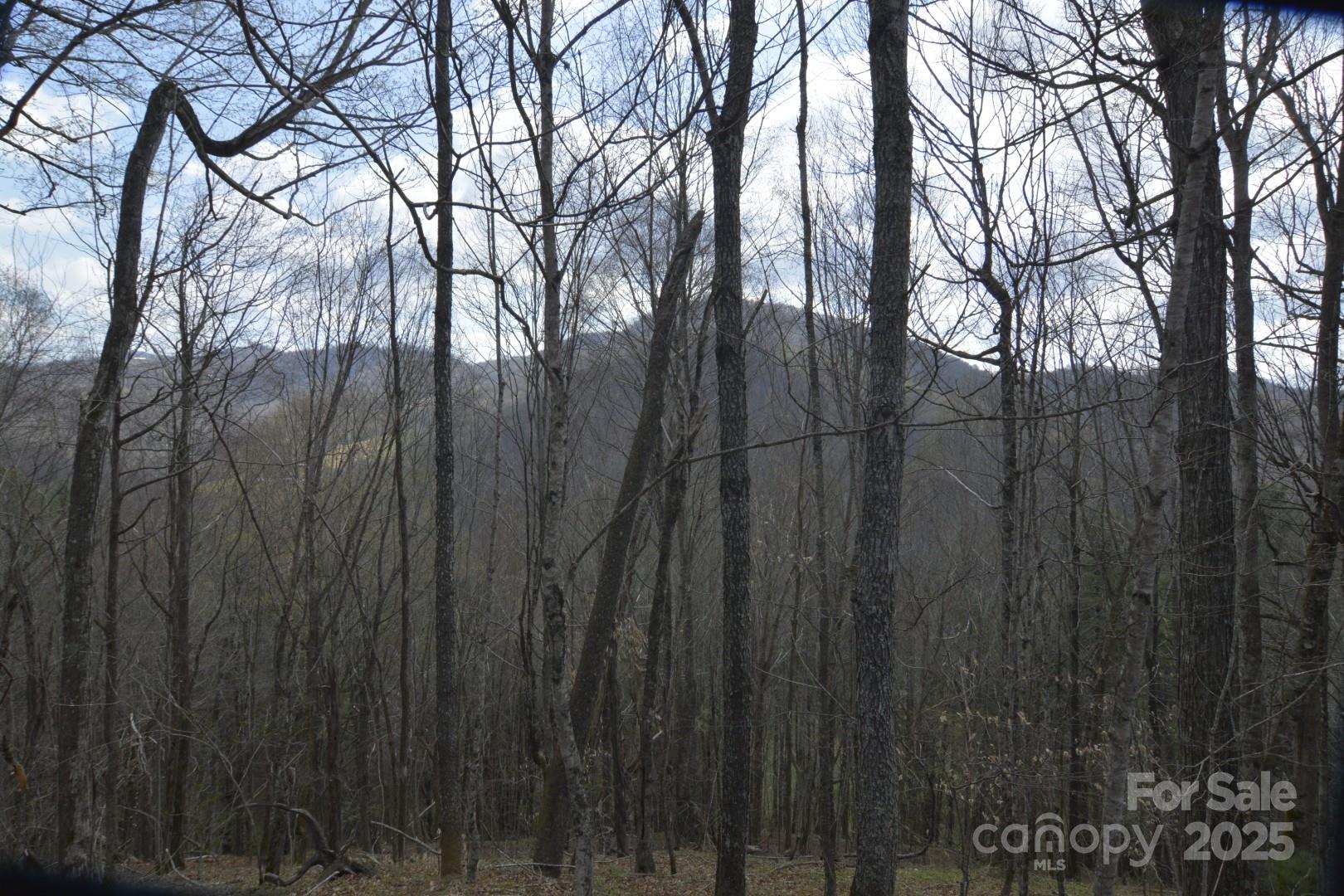 220 Screaming Eagle Drive Property Photo 14