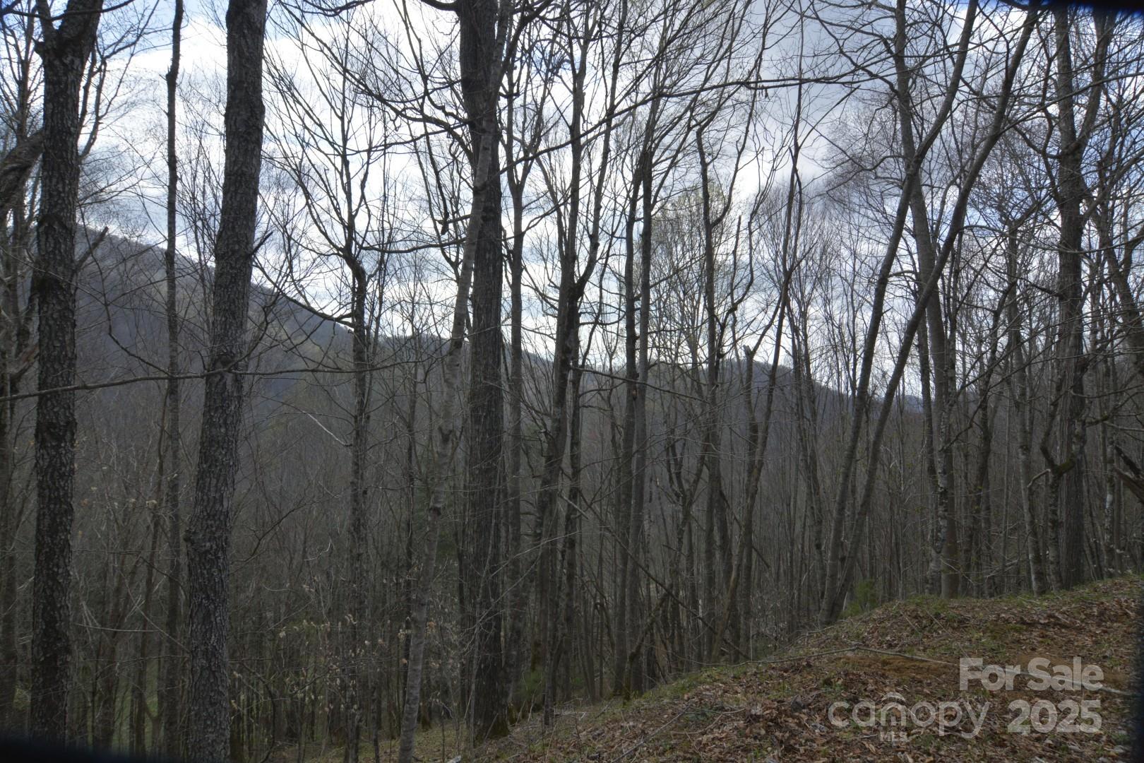 220 Screaming Eagle Drive Property Photo 15