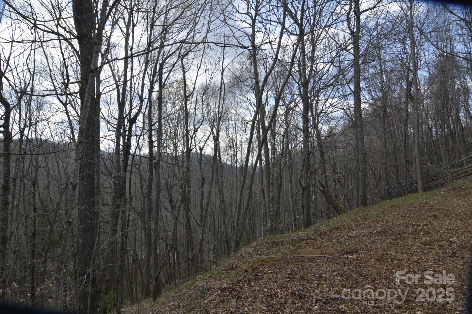 220 Screaming Eagle Drive Property Photo 16