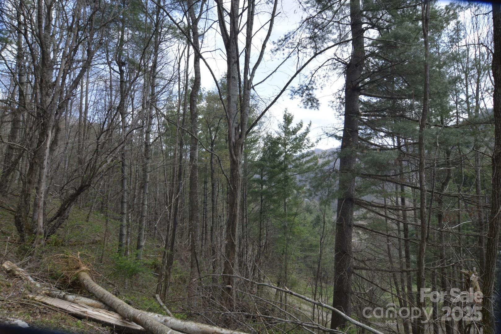 220 Screaming Eagle Drive Property Photo 17
