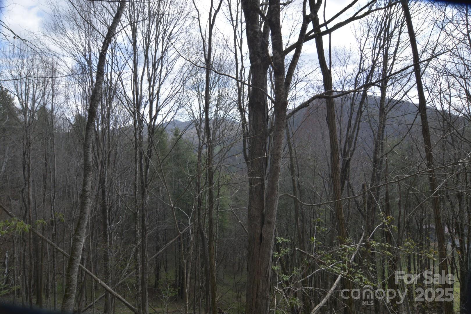 220 Screaming Eagle Drive Property Photo 18