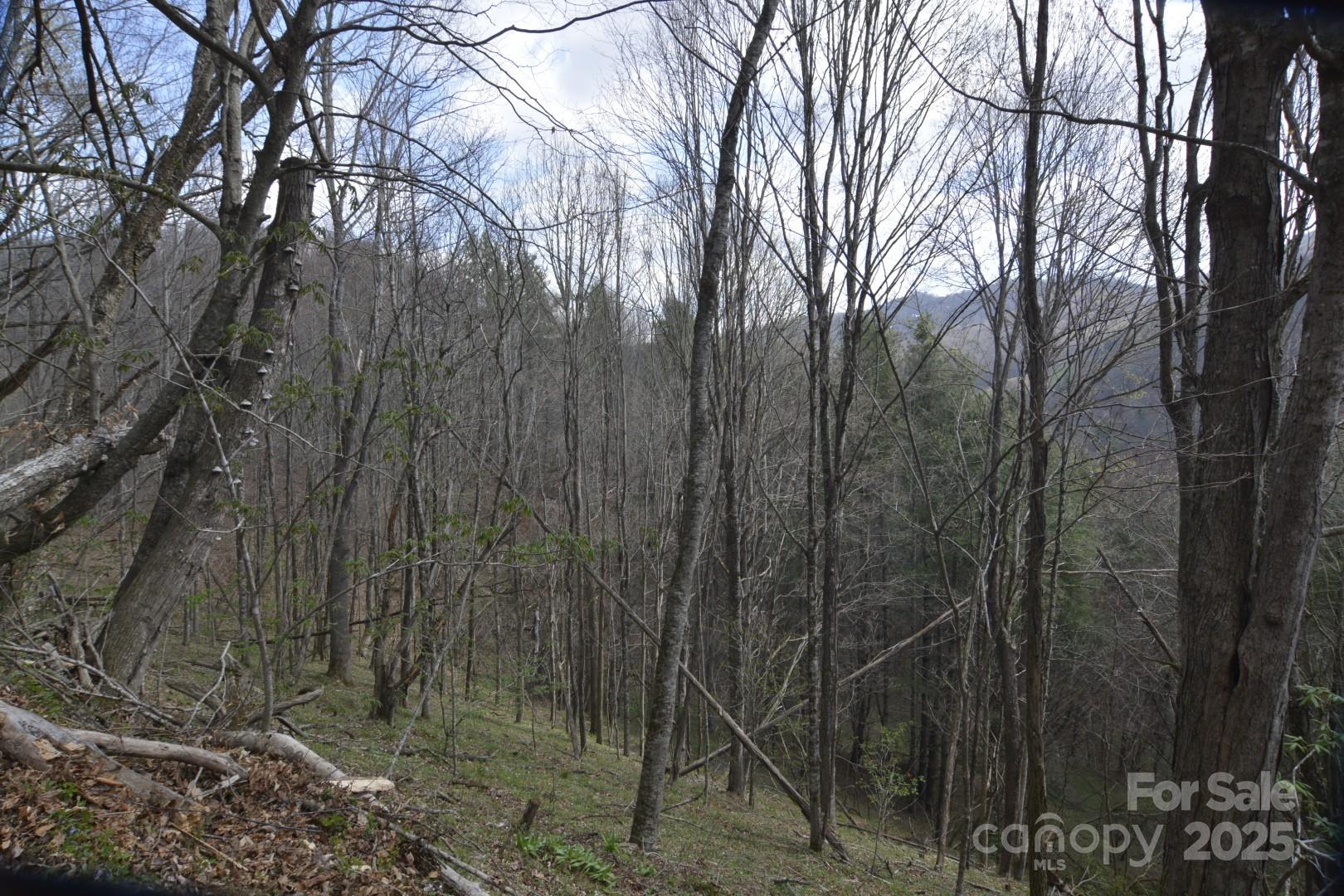 220 Screaming Eagle Drive Property Photo 19