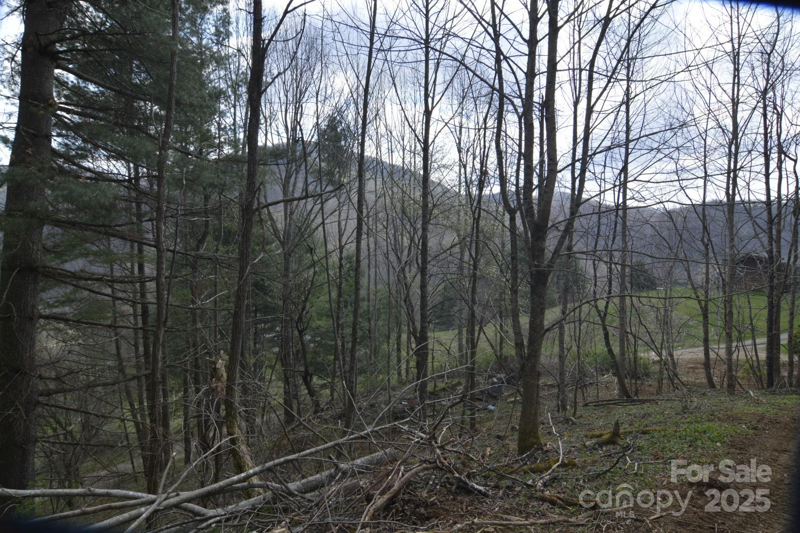 220 Screaming Eagle Drive Property Photo 20