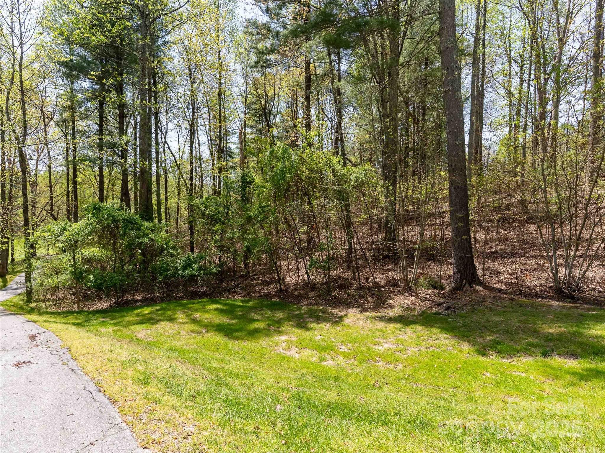180 Pine Shadow Drive 287 Property Photo 15