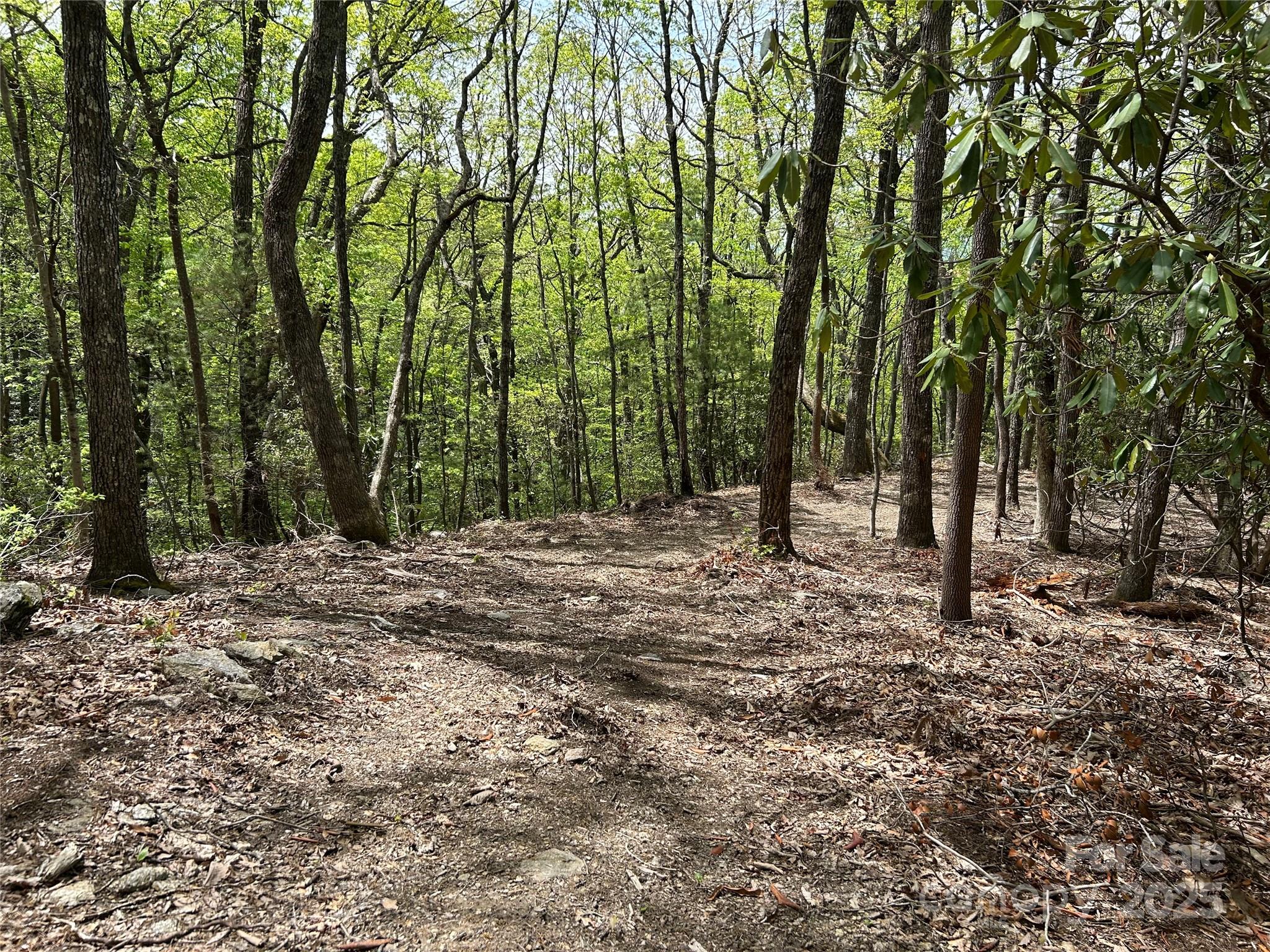 000 John Delk Road 2 Property Photo