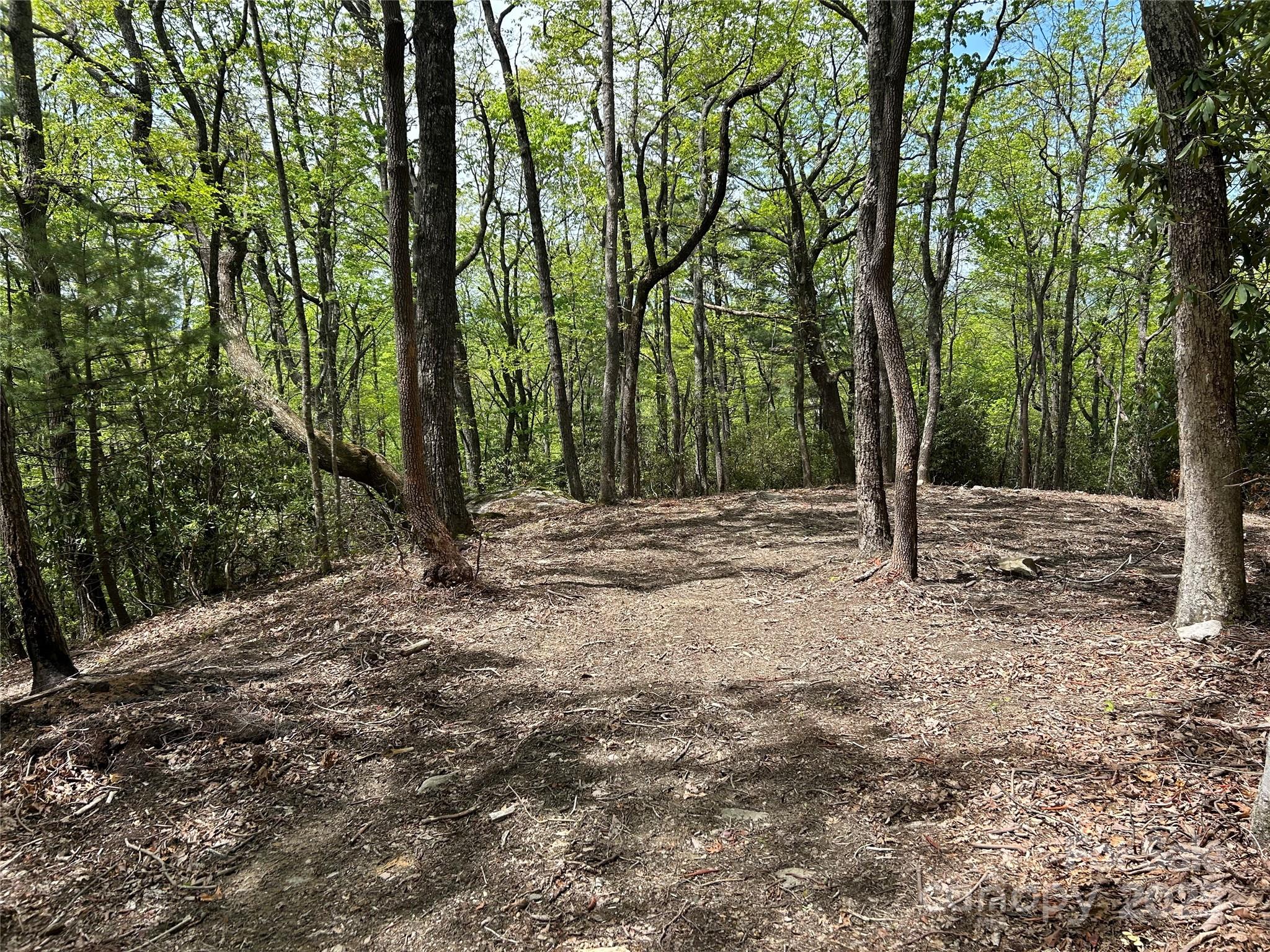 000 John Delk Road 2&6 Property Photo 3