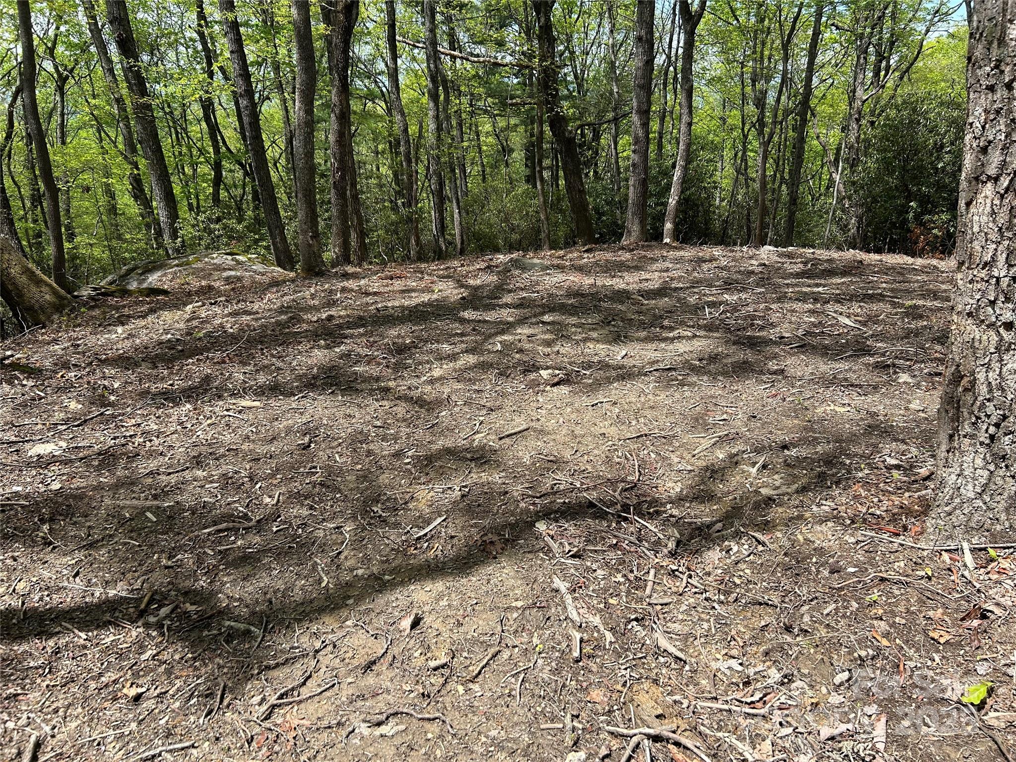 000 John Delk Road 2&6 Property Photo 4