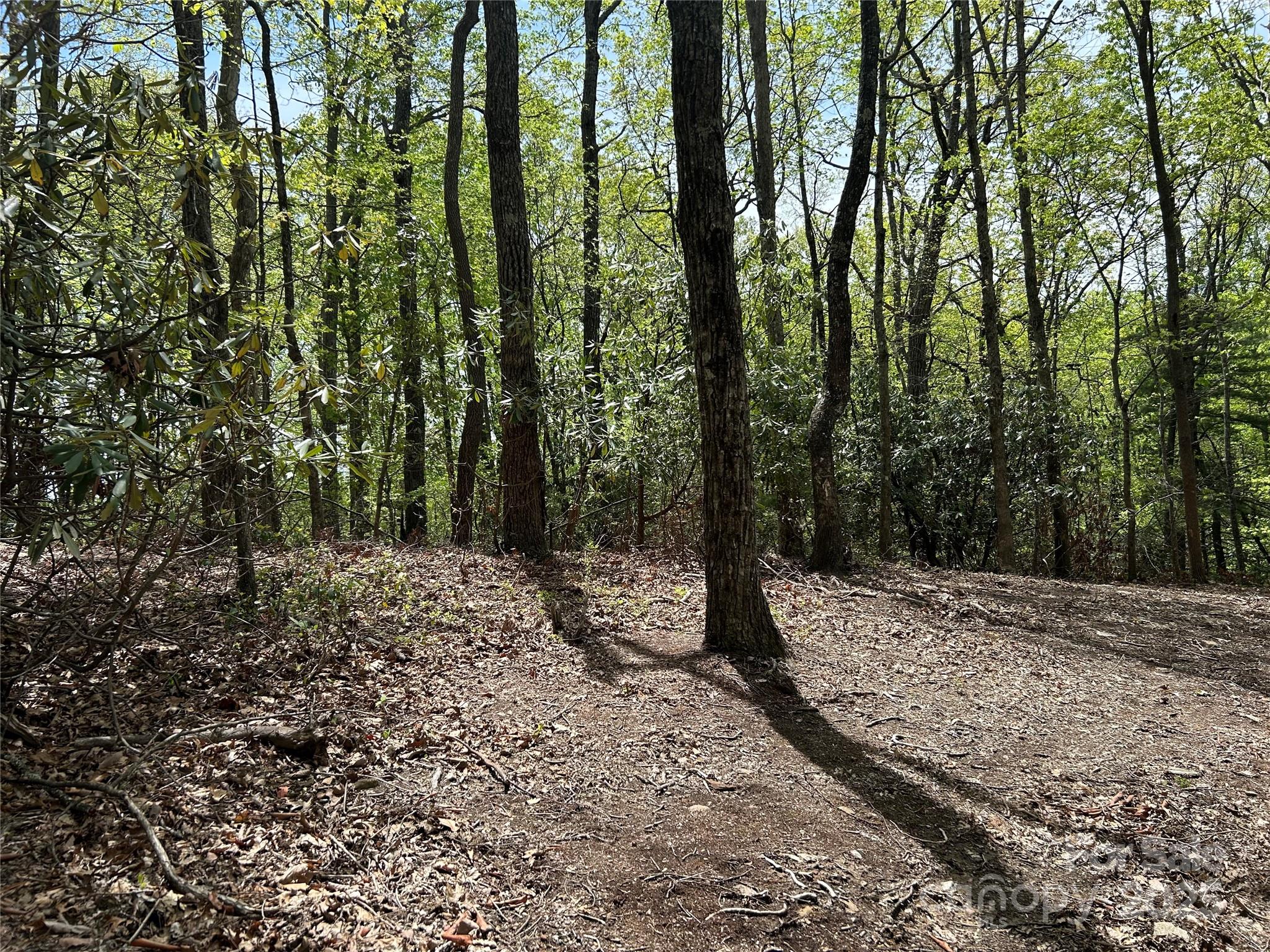 000 John Delk Road 2&6 Property Photo 5