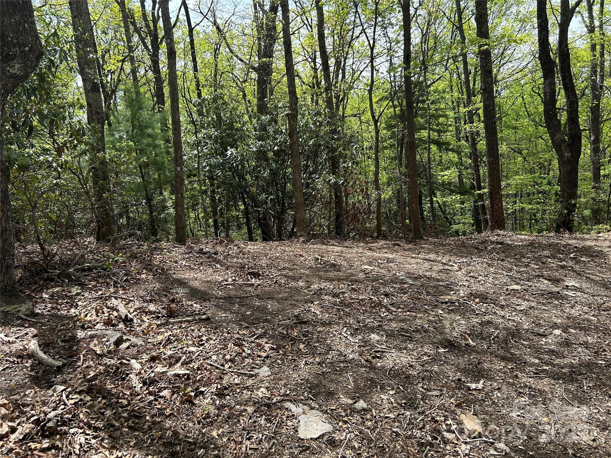 000 John Delk Road 2&6 Property Photo 6