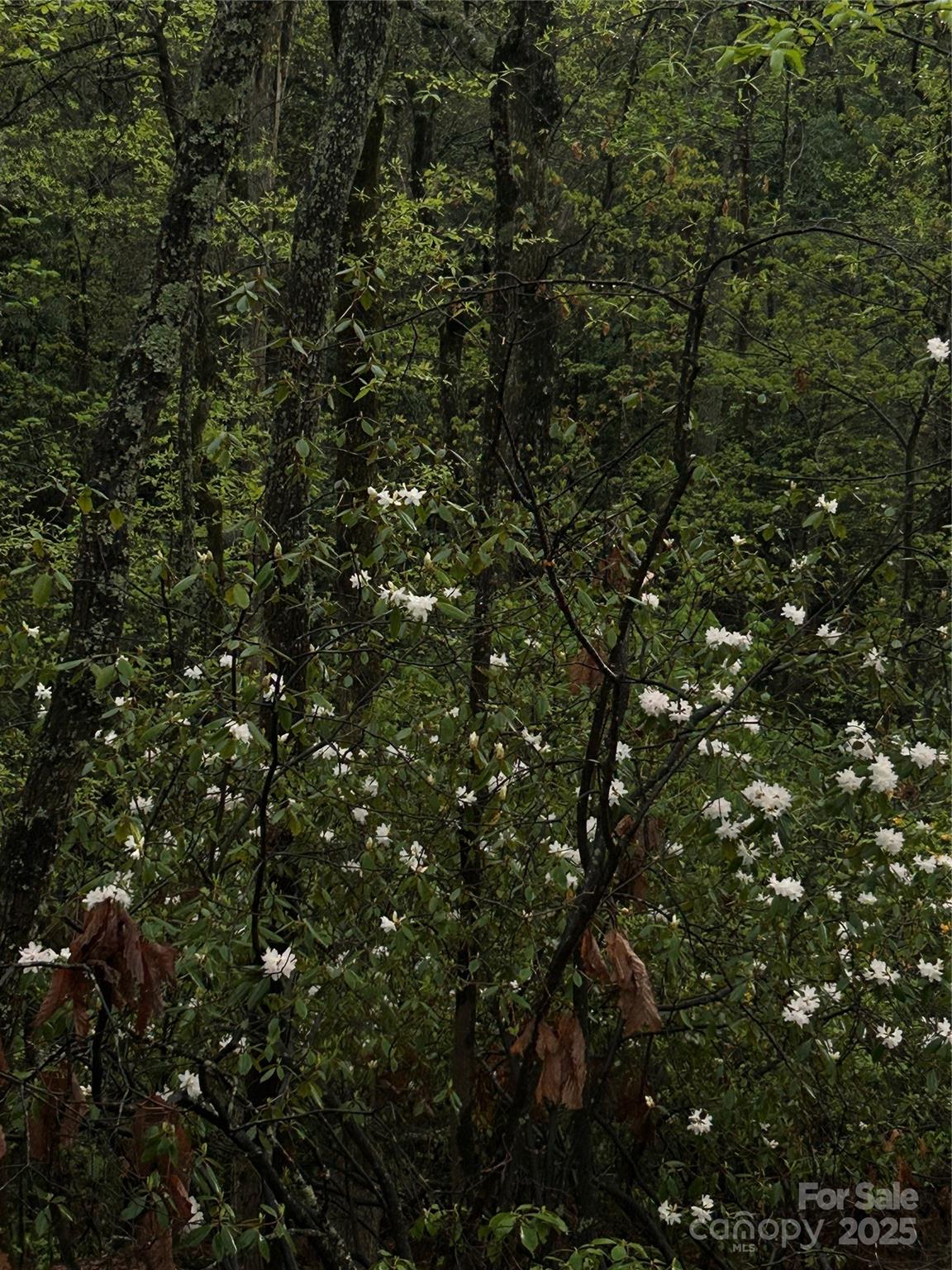 000 John Delk Road 2&6 Property Photo 7