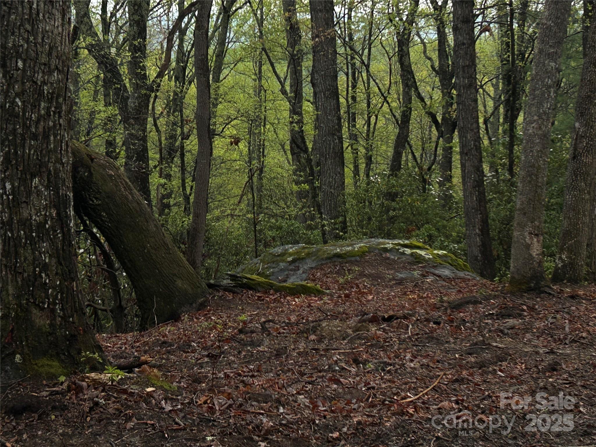 000 John Delk Road 2&6 Property Photo 8