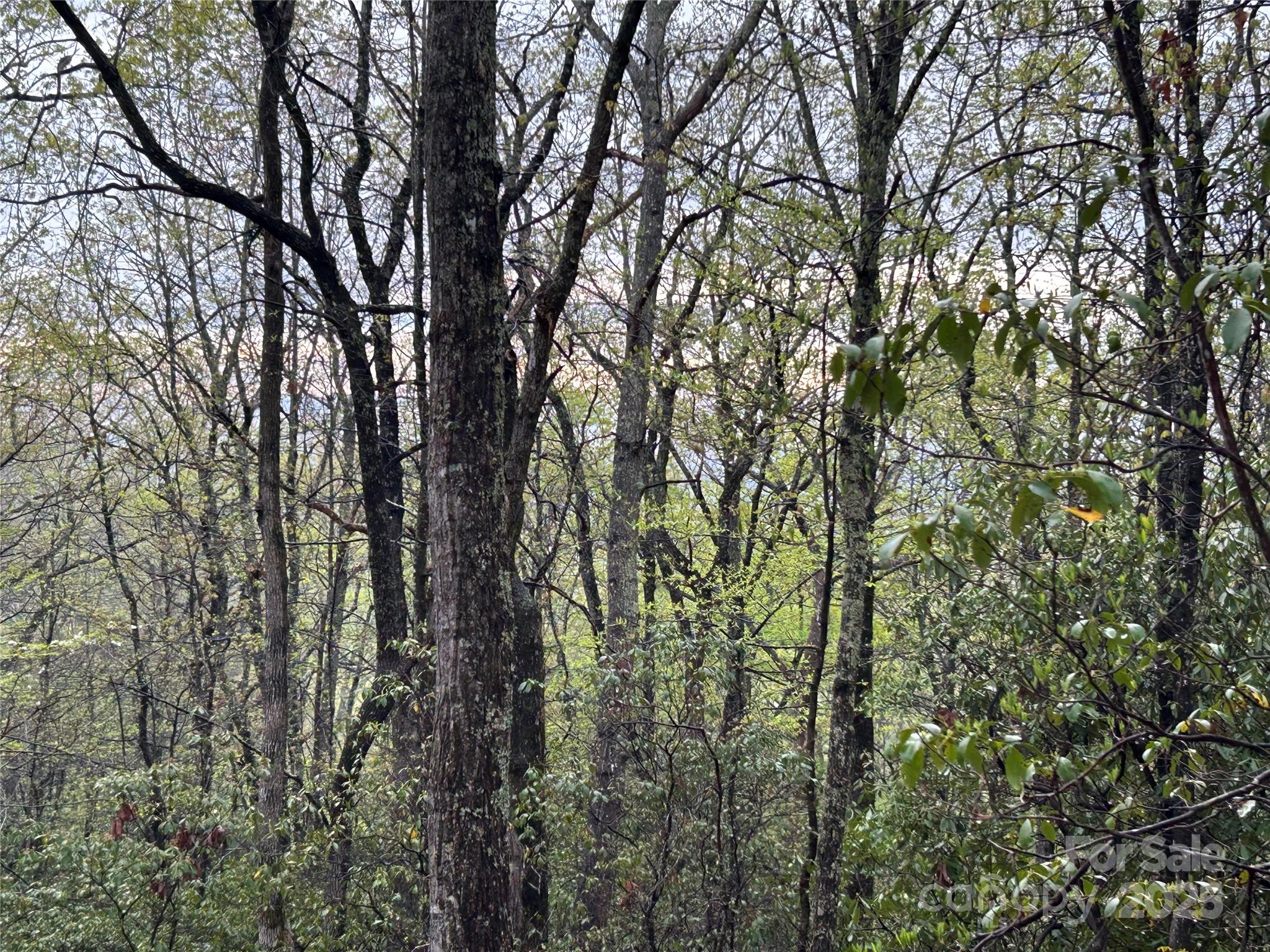 000 John Delk Road 2&6 Property Photo 9