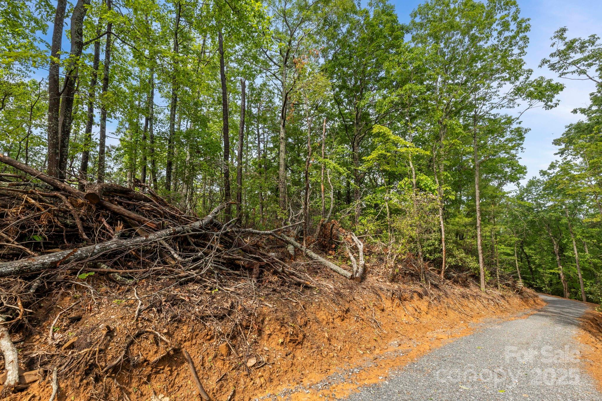 000 John Delk Road 2&6 Property Photo 24