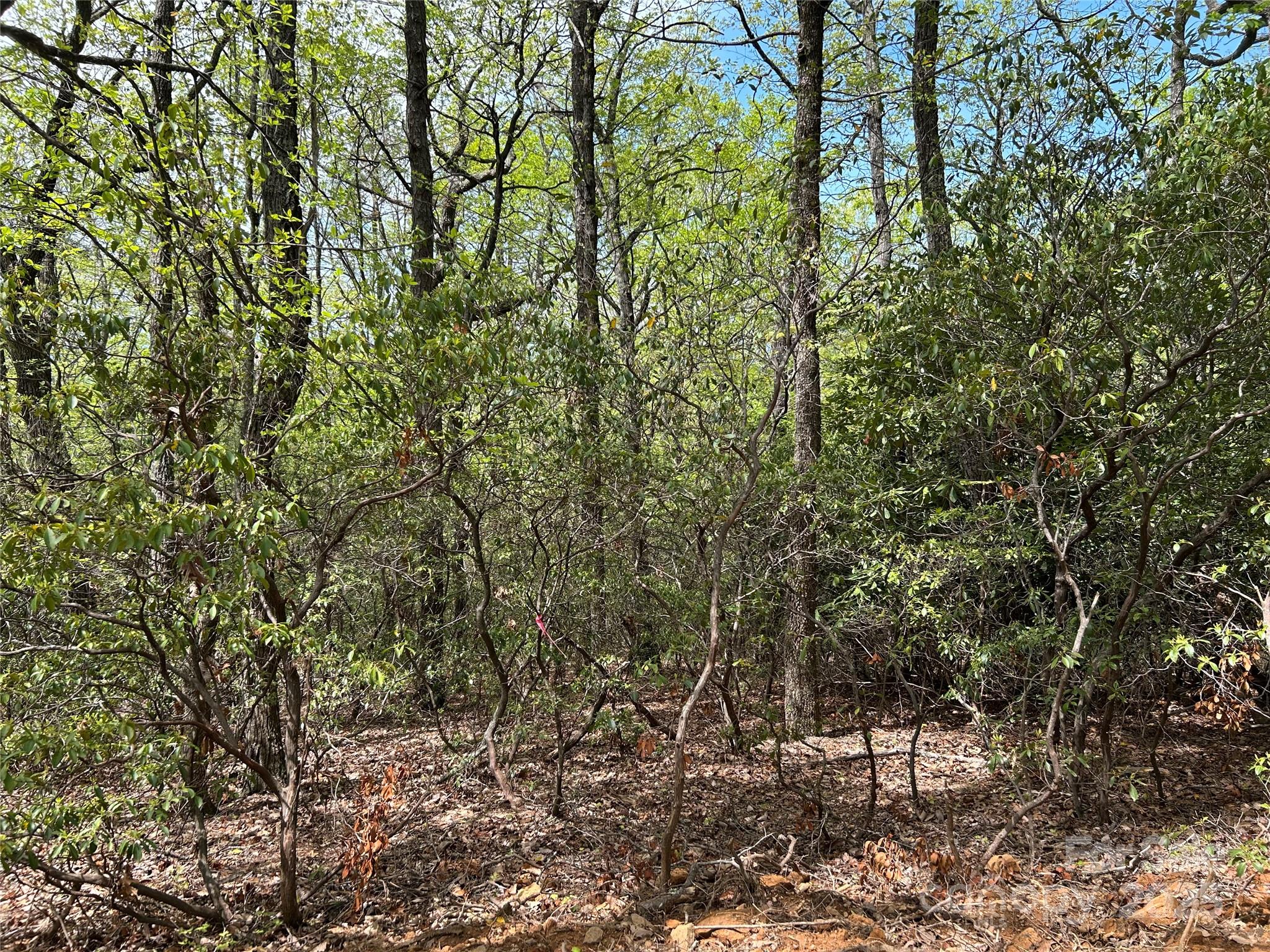 000 John Delk Road 3 Property Photo