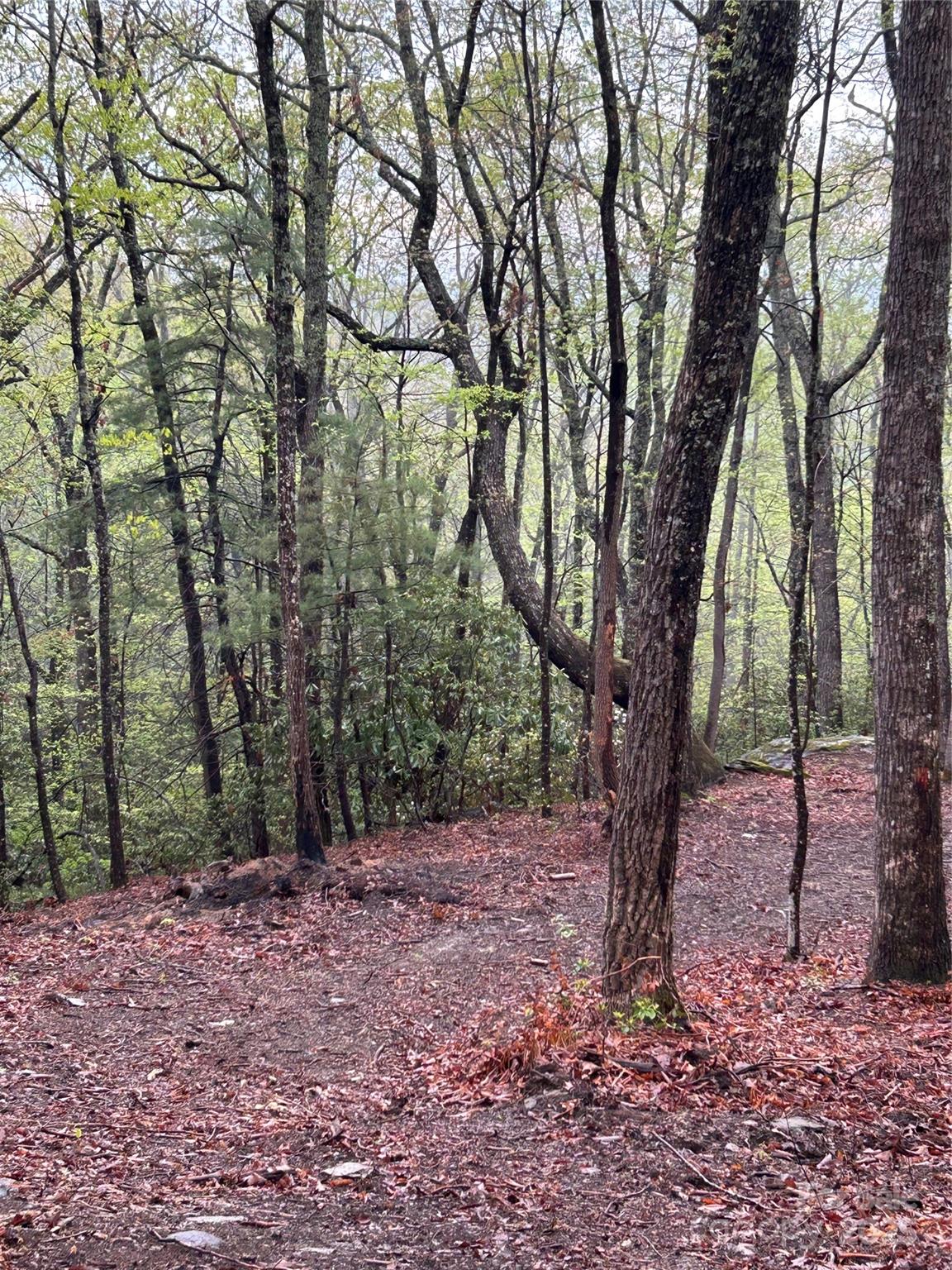 000 John Delk Road 3 Property Photo 6