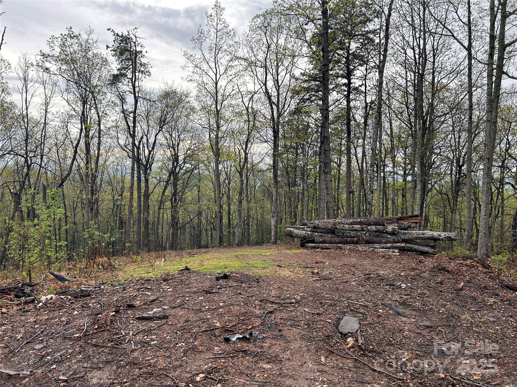 000 John Delk Road 4 Property Photo