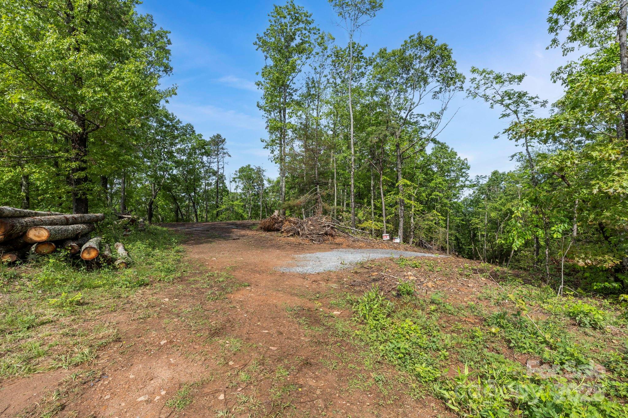 000 John Delk Road 4 Property Photo 1