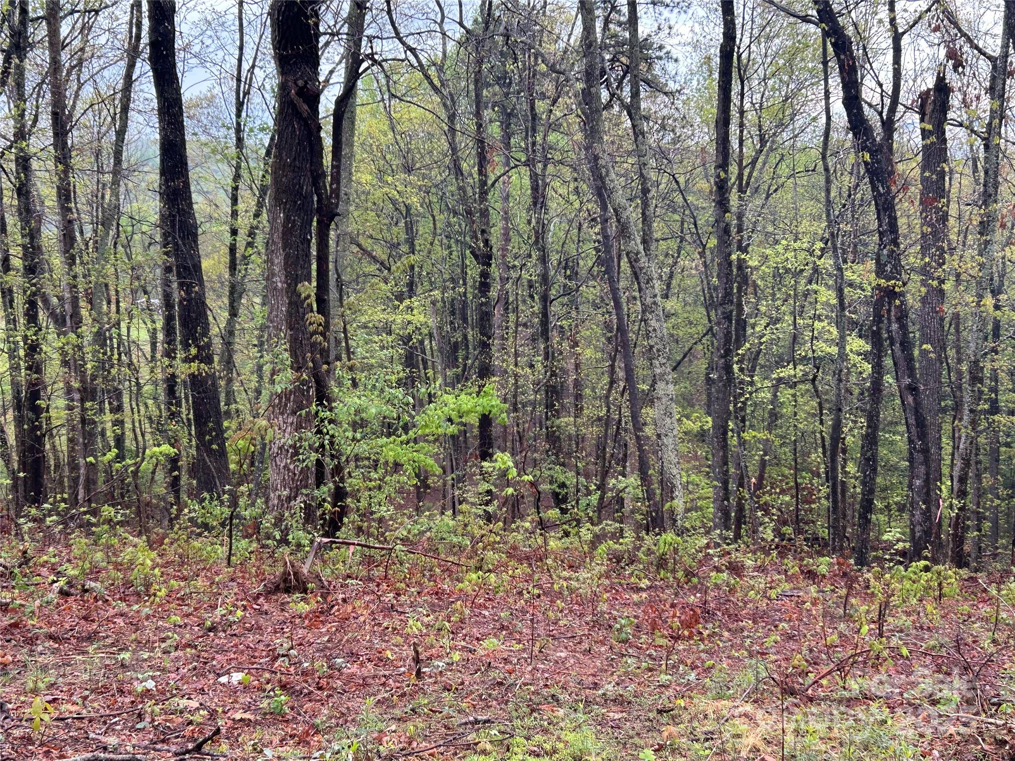 000 John Delk Road 4 Property Photo 5