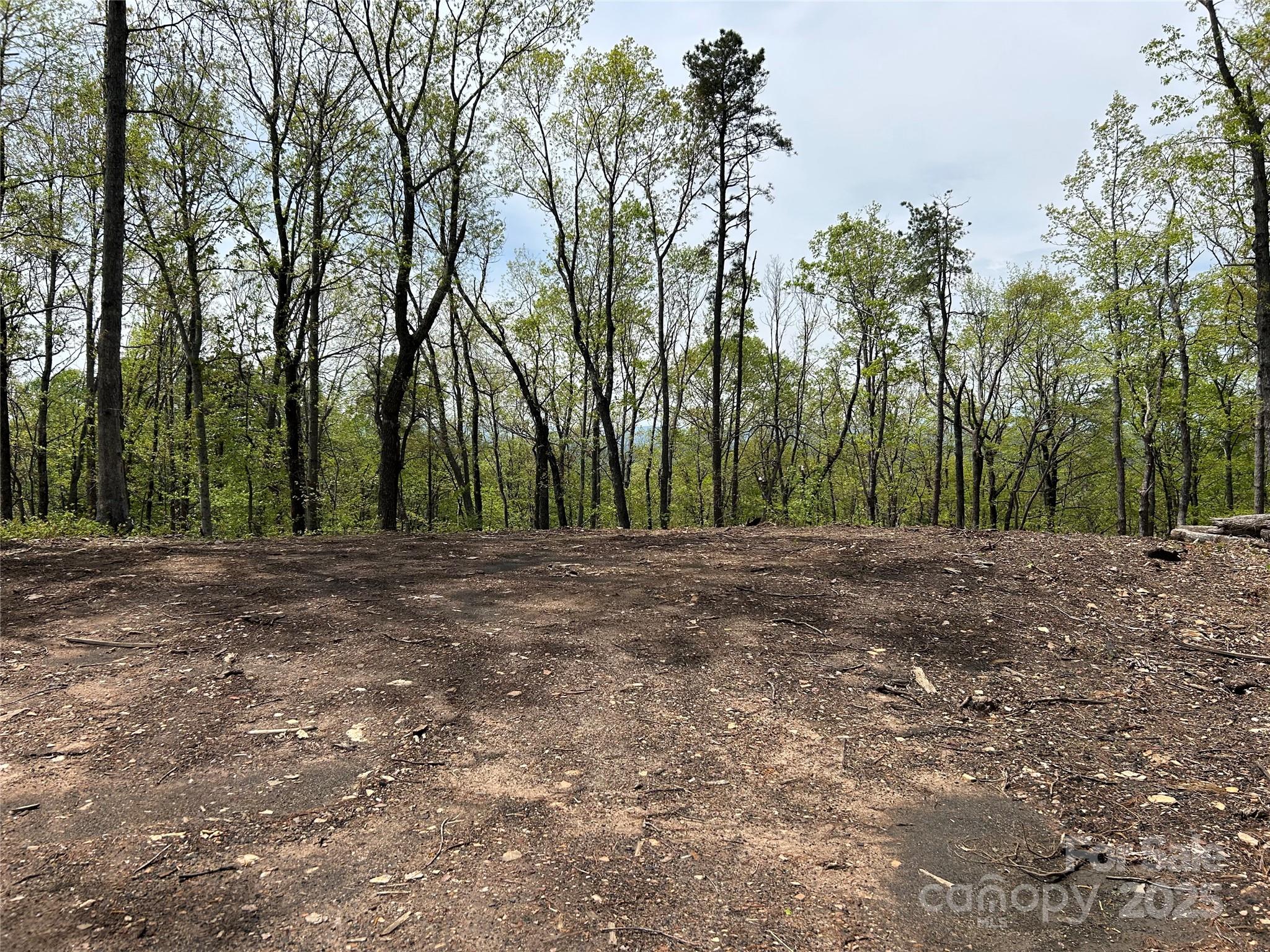 000 John Delk Road 4 Property Photo 6