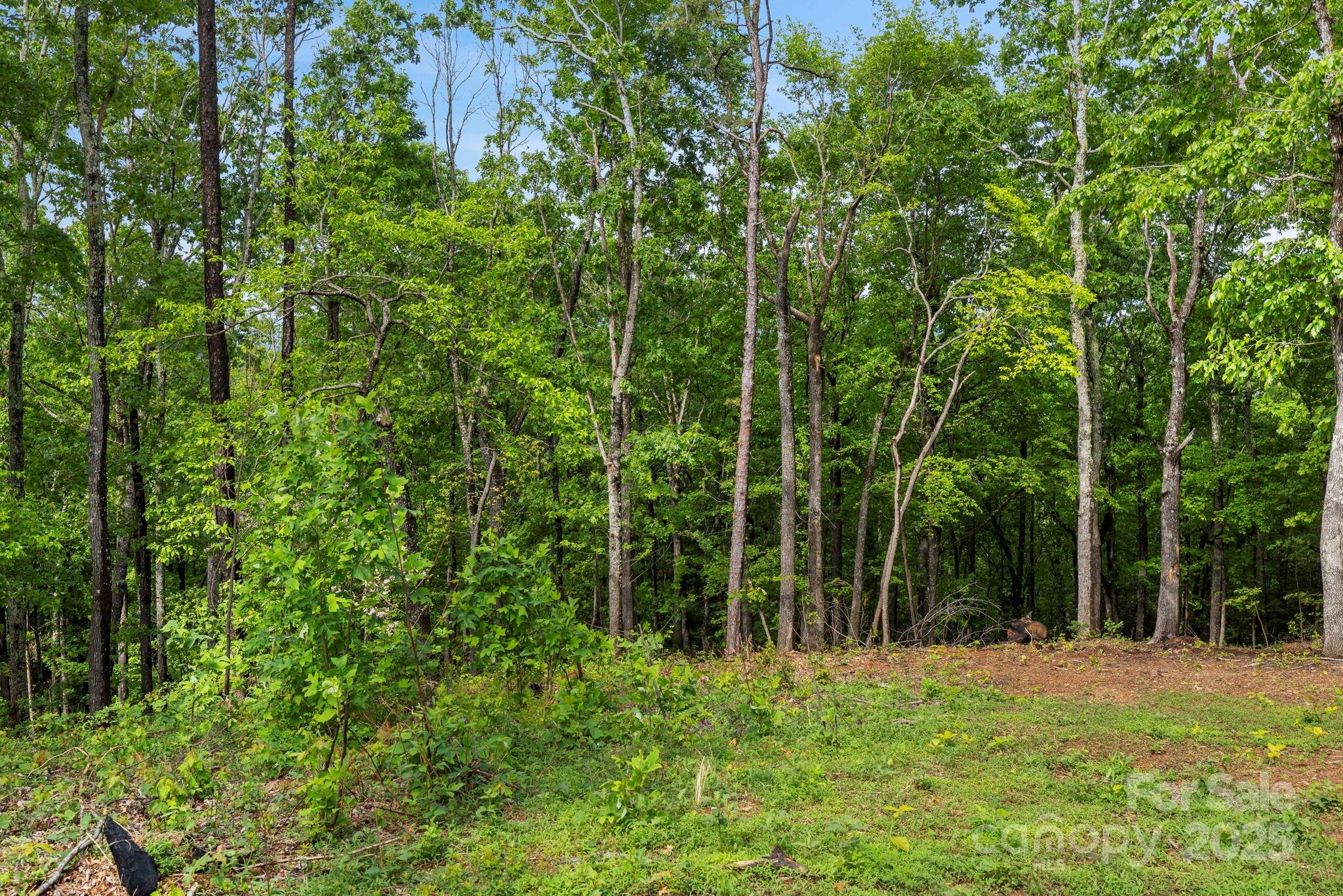 000 John Delk Road 4 Property Photo 24