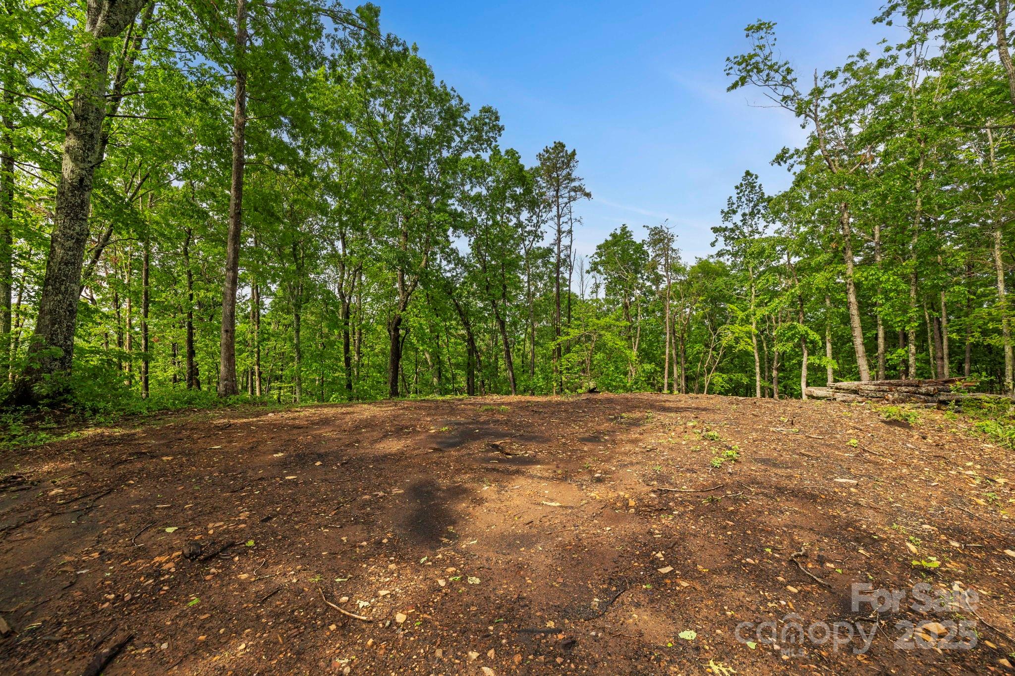 000 John Delk Road 4 Property Photo 25