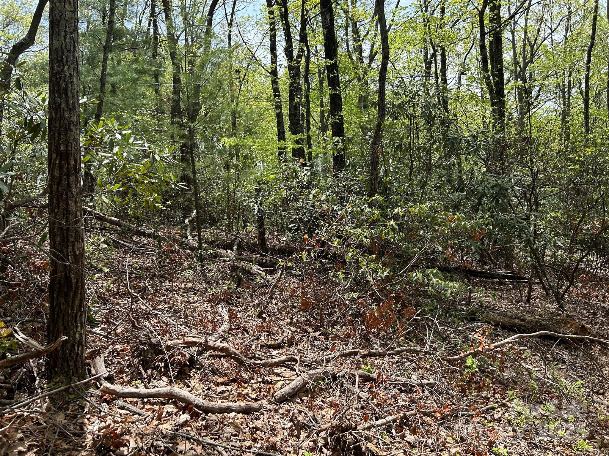 000 John Delk Road 5 Property Photo