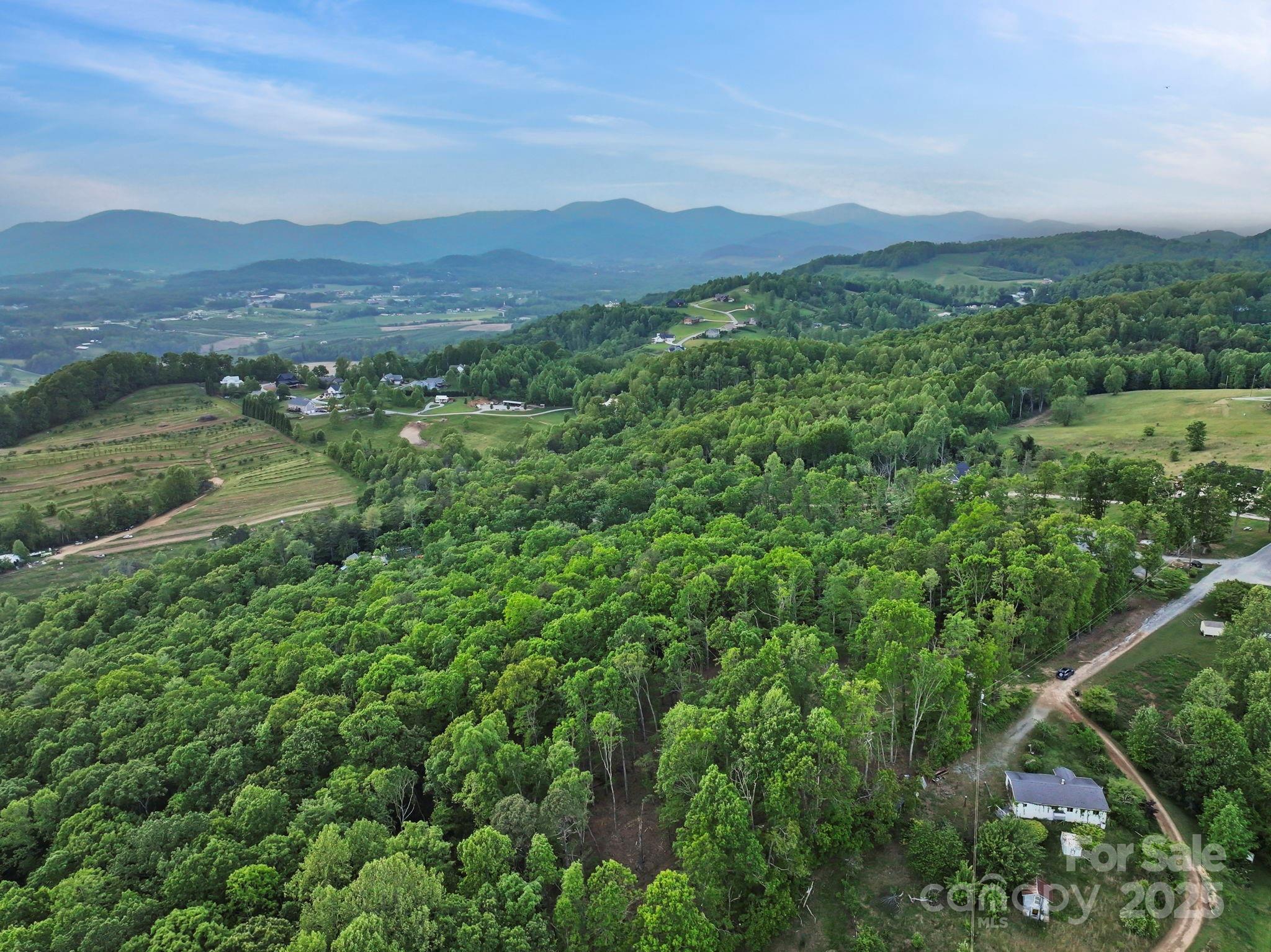 000 Jacks Paw Lane 8 Property Photo 1