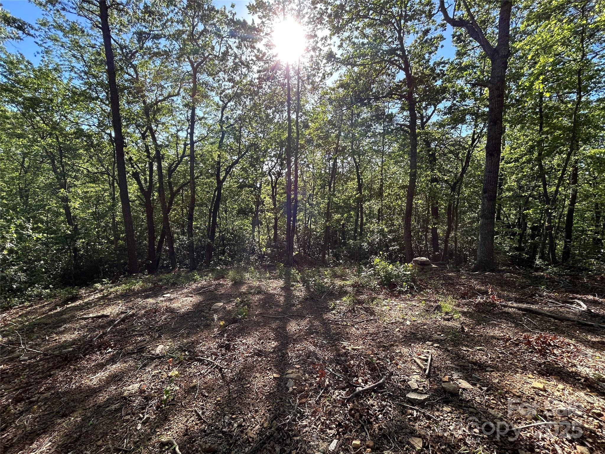 000 Jacks Paw Lane 8 Property Photo 2