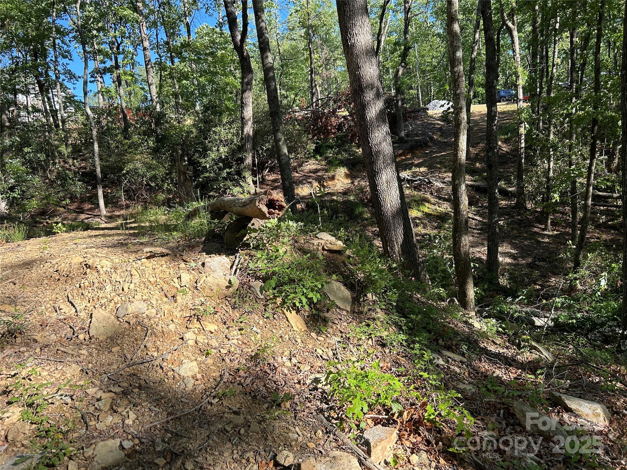 000 Jacks Paw Lane 8 Property Photo 3