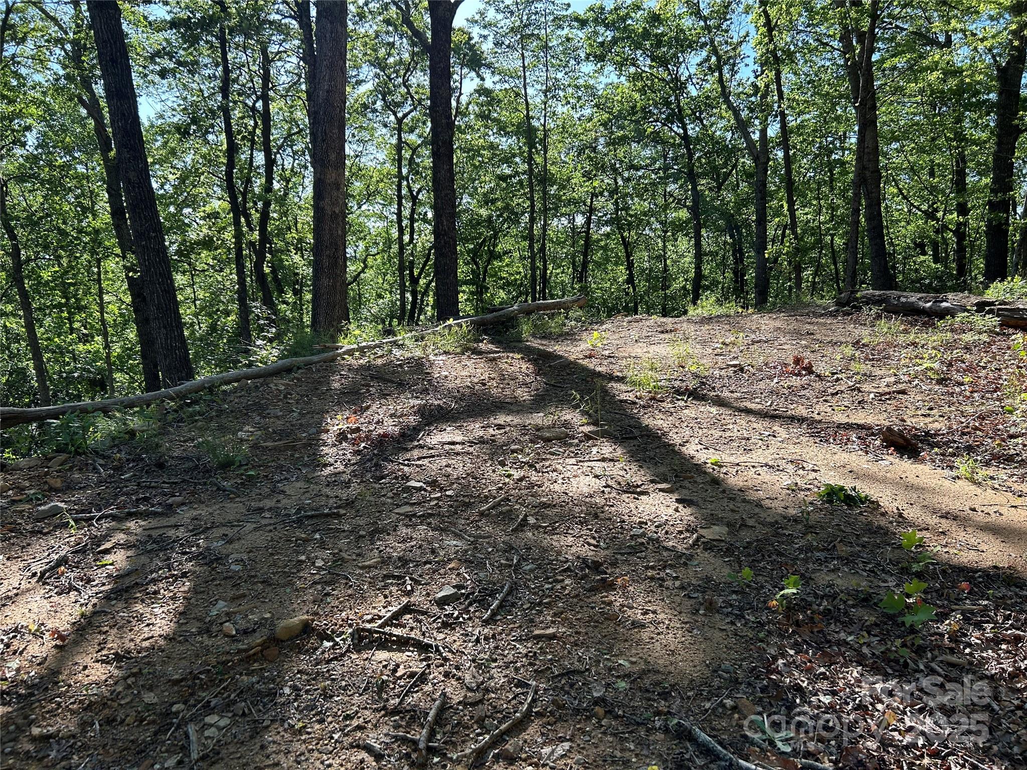 000 Jacks Paw Lane 8 Property Photo 4