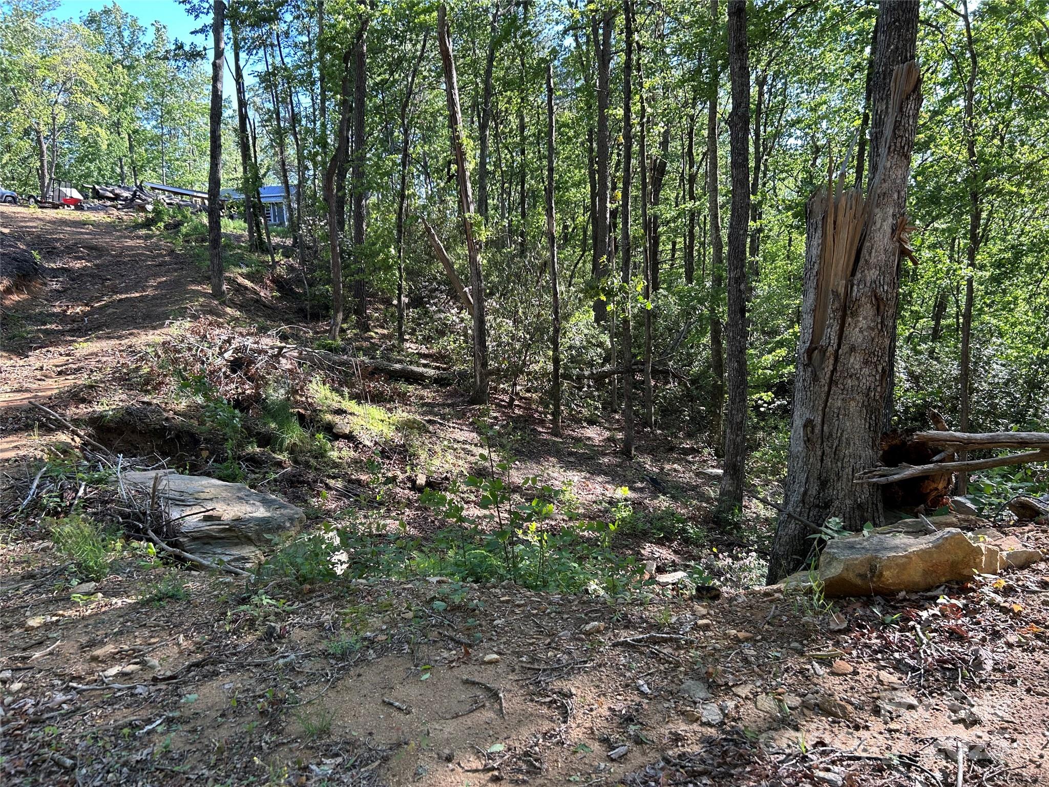 000 Jacks Paw Lane 8 Property Photo 6