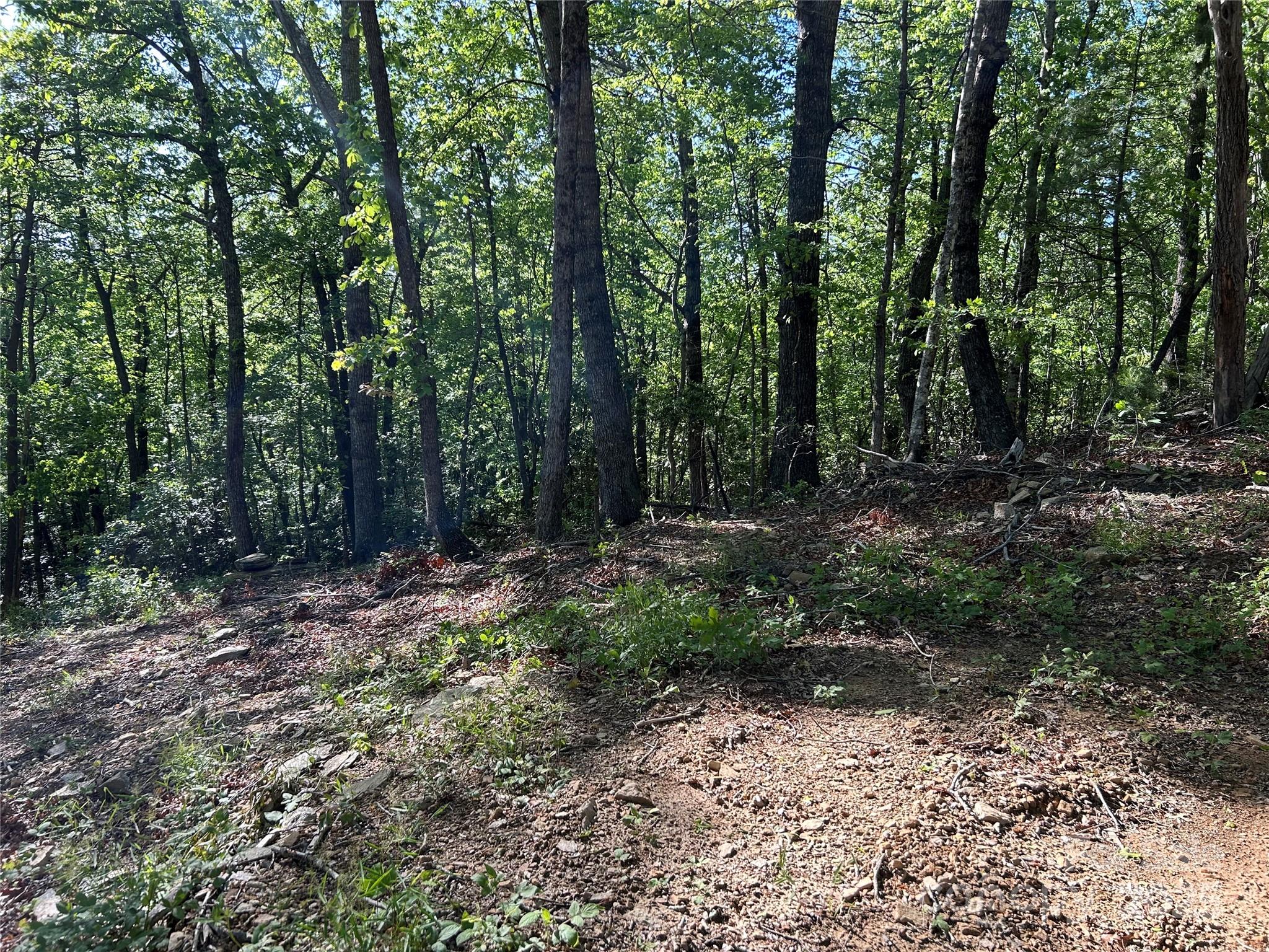 000 Jacks Paw Lane 8 Property Photo 7