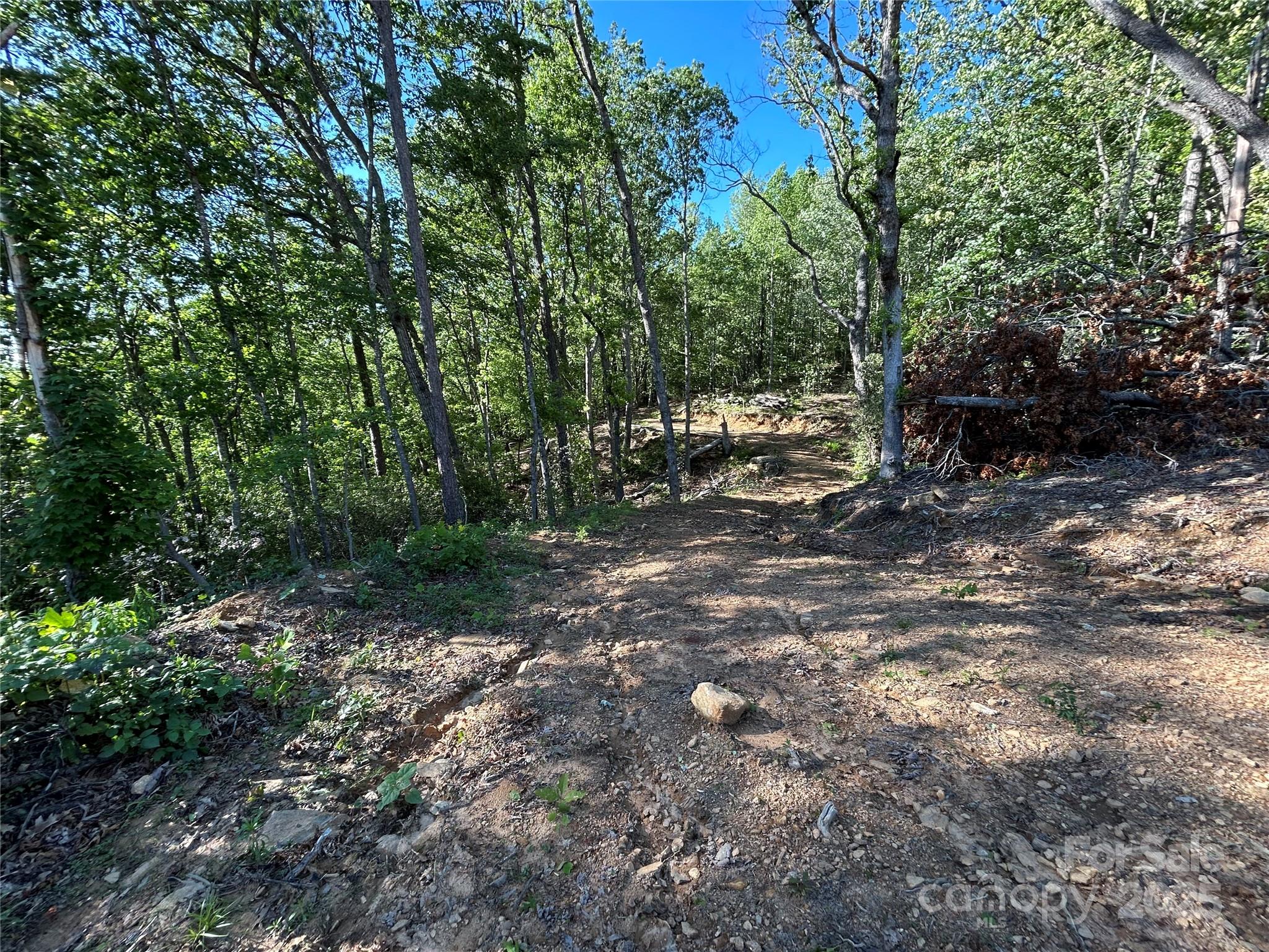 000 Jacks Paw Lane 8 Property Photo 9