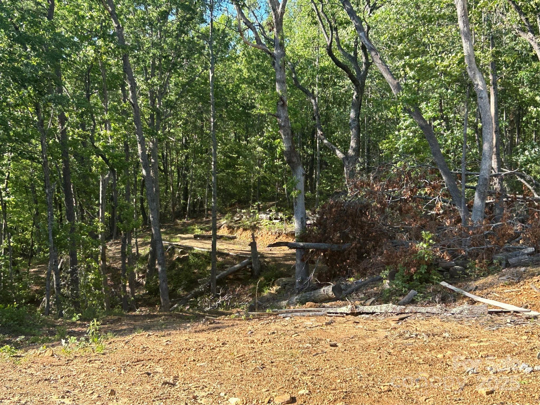 000 Jacks Paw Lane 8 Property Photo 10