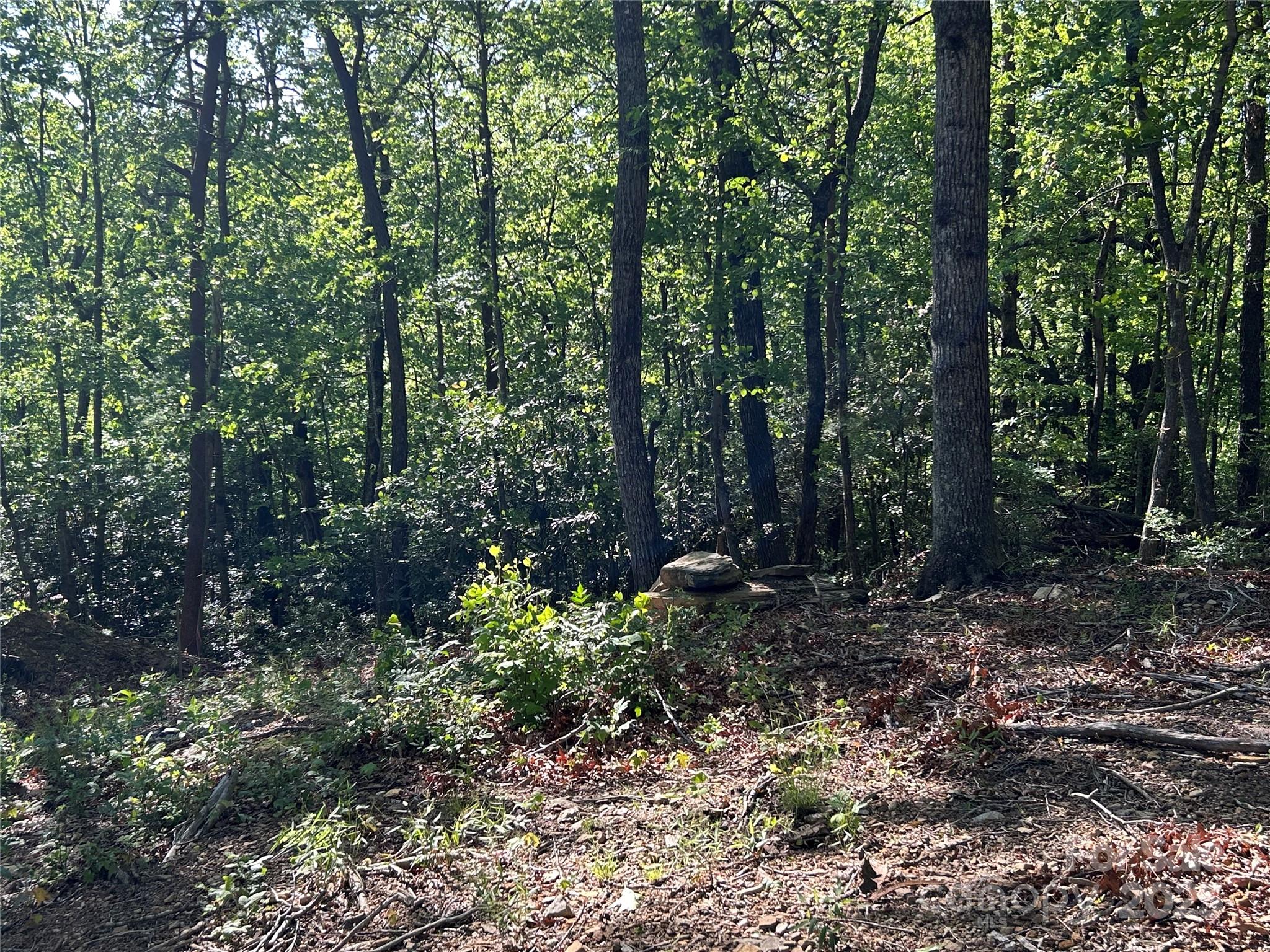 000 Jacks Paw Lane 8 Property Photo 11