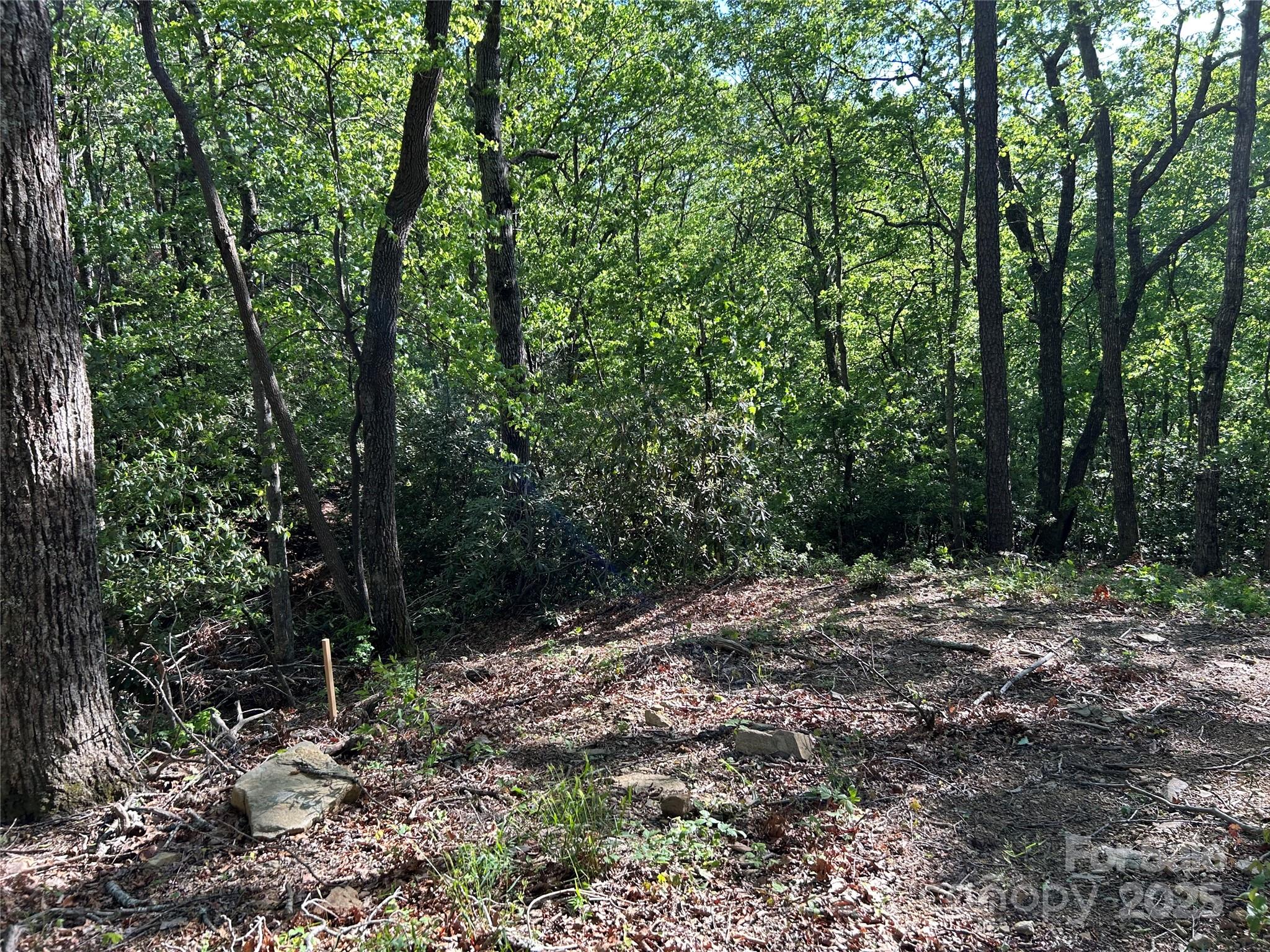 000 Jacks Paw Lane 8 Property Photo 12