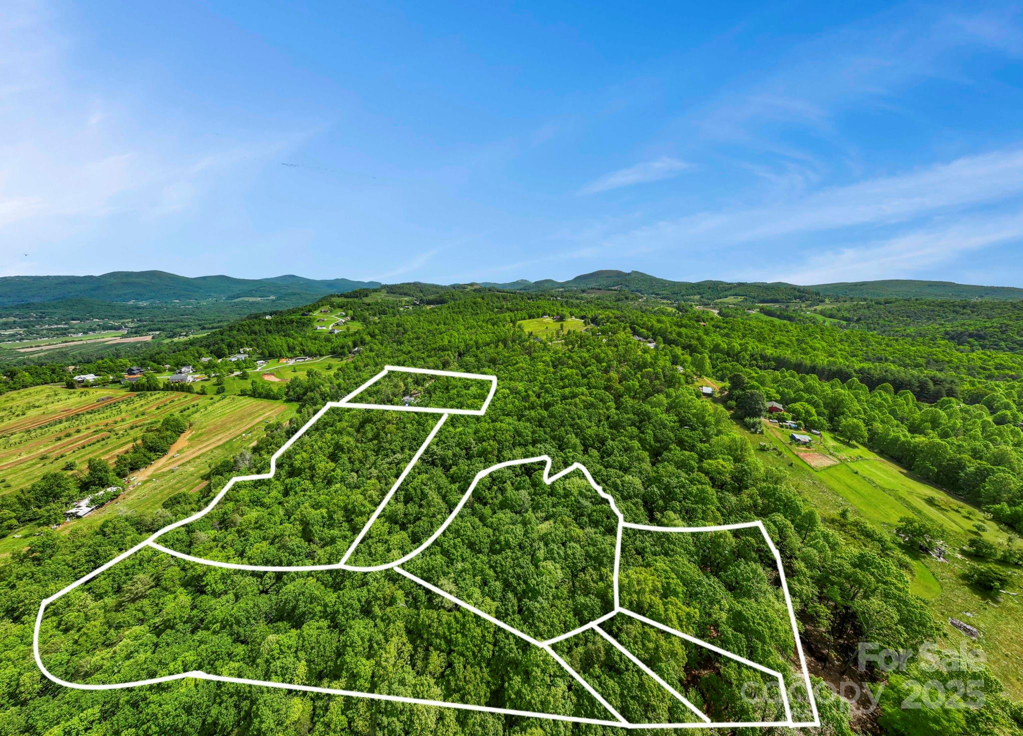 000 Jacks Paw Lane 8 Property Photo 14