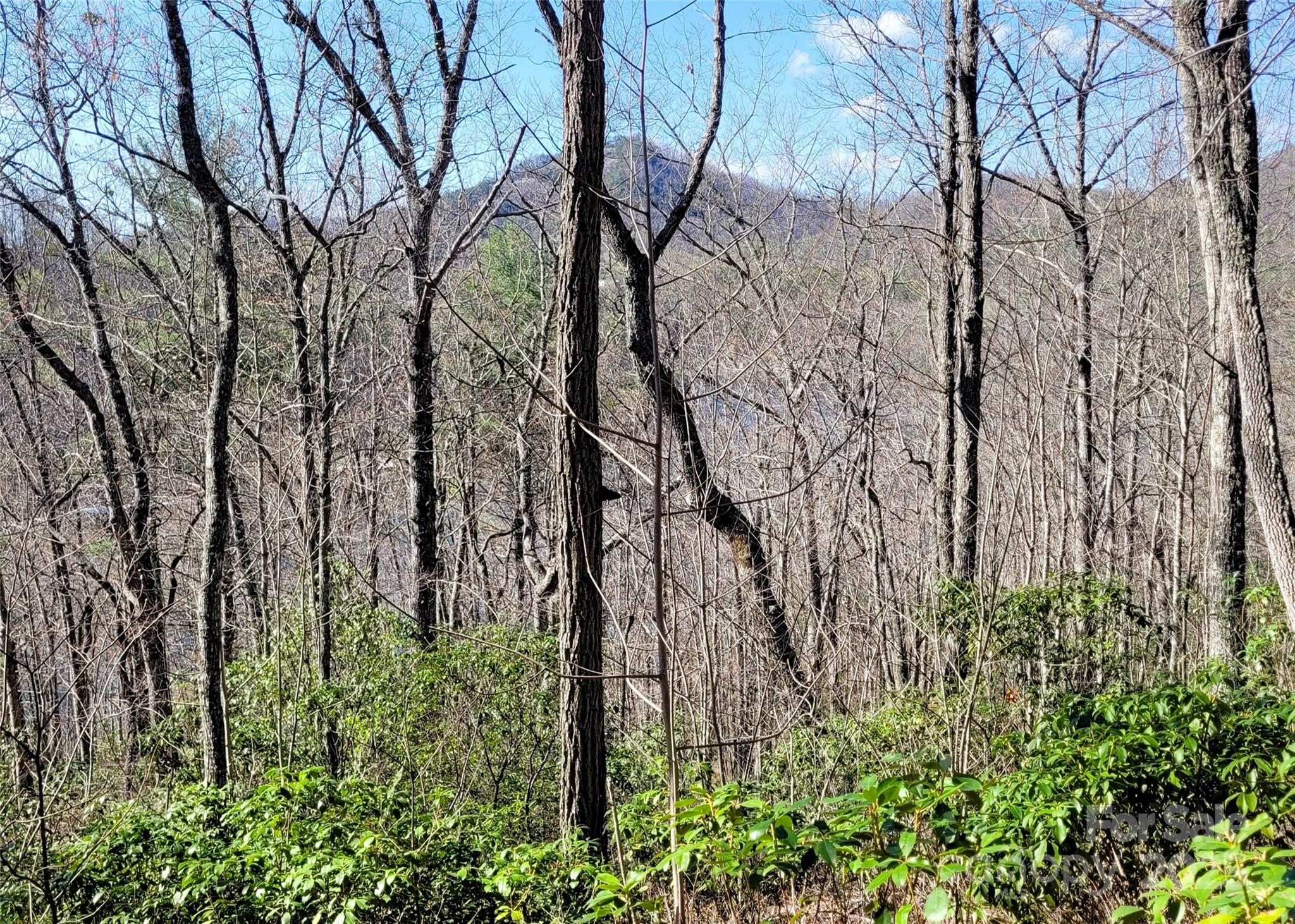 Lot 95 Lake Forest Drive 95 Property Photo