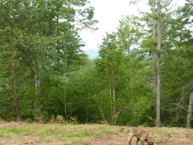 240 Thunderhead Drive Property Photo 1