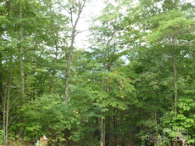 240 Thunderhead Drive Property Photo 2