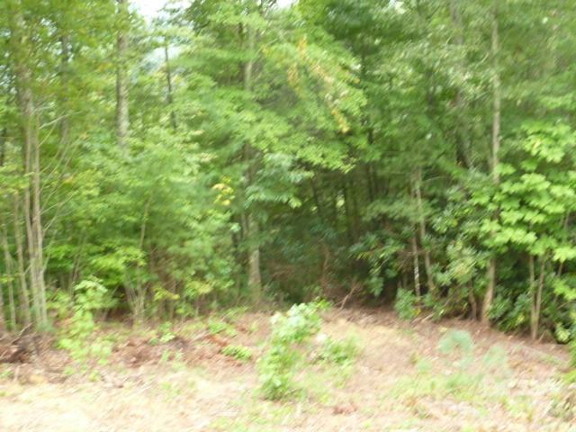240 Thunderhead Drive Property Photo 3
