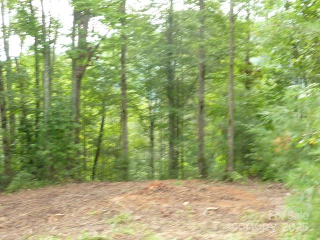 240 Thunderhead Drive Property Photo 6